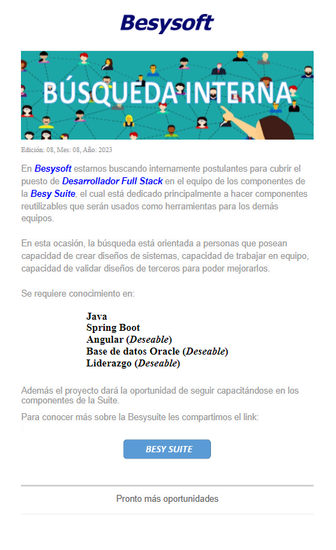 Mini Ed 08 Busqueda Interna