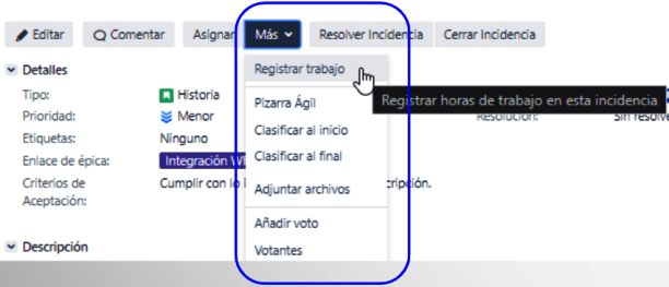 Carga Horas Jira Jira