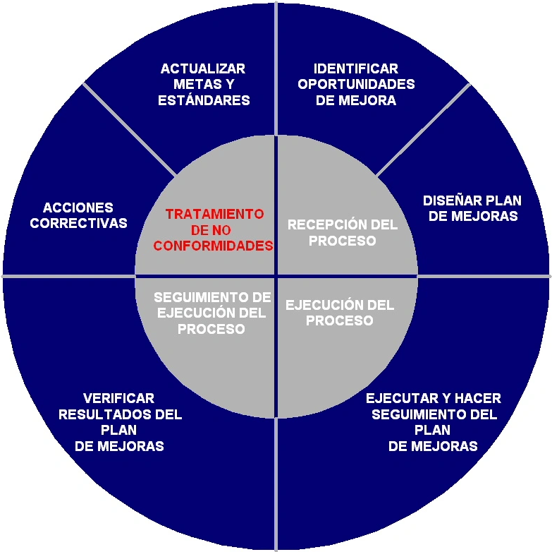 Ciclo
